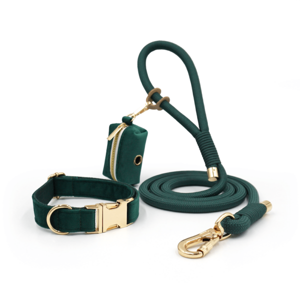 Set: halsband, lijn en poepzaktasje
