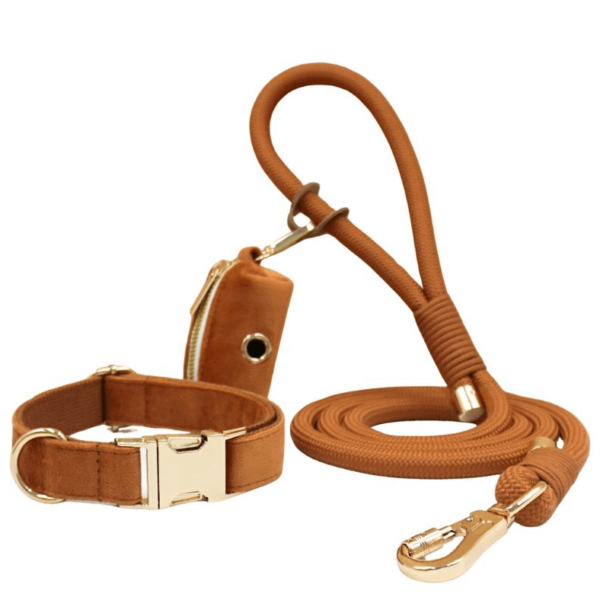 Set: halsband, lijn en poepzaktasje - Afbeelding 3