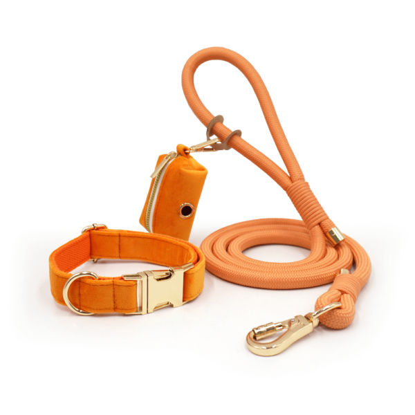 Set: halsband, lijn en poepzaktasje - Afbeelding 5
