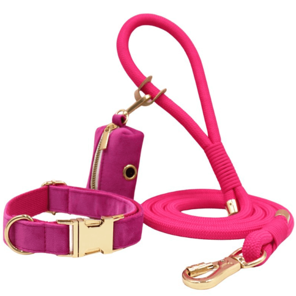Set: halsband, lijn en poepzaktasje - Afbeelding 4
